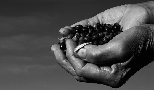 CorrMezzogiorno_311x422